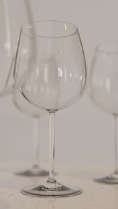 pinot noir red wine model
