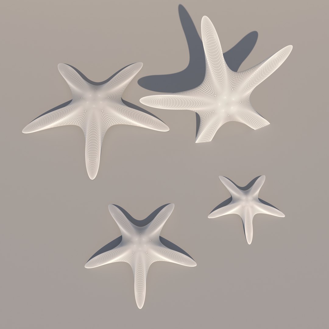 starfish1 3D model https://p.turbosquid.com/ts-thumb/ZW/fF1gGw/JJ/wire/jpg/1667693361/1920x1080/fit_q87/9258af68b2799bf393010db6b70c9ea8d973470b/wire.jpg