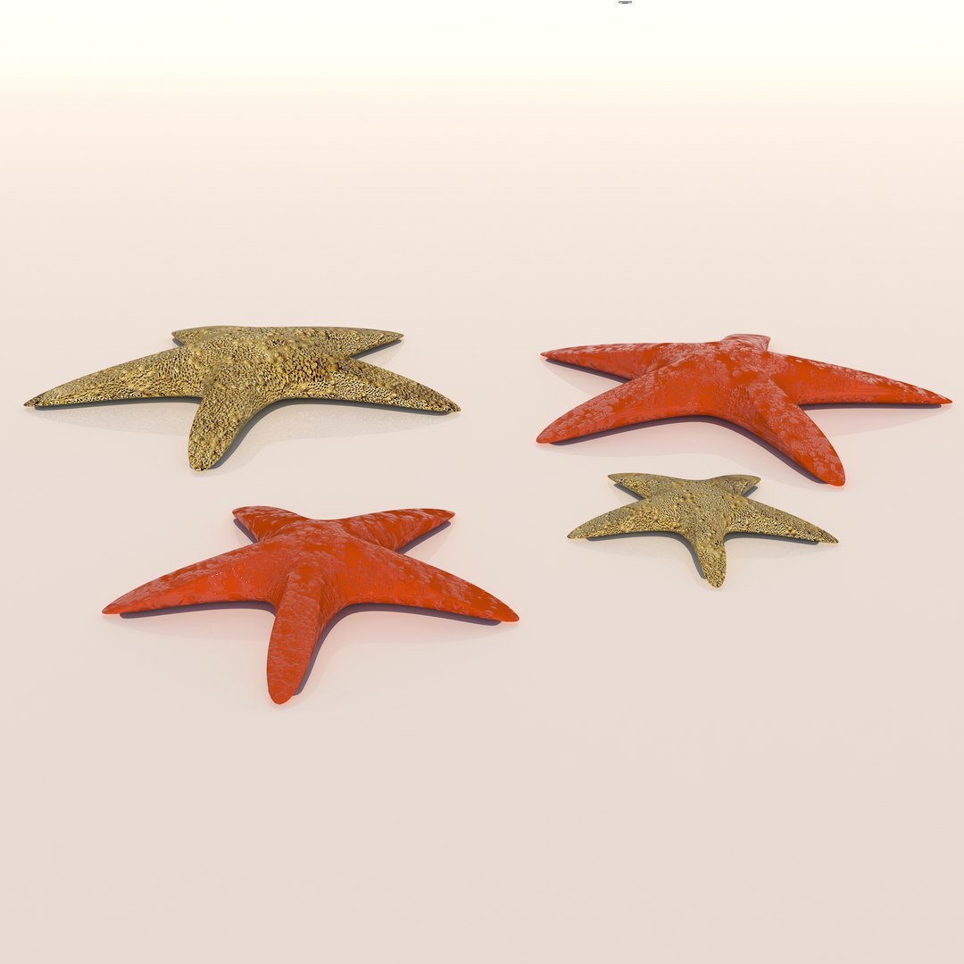 starfish1 3D model https://p.turbosquid.com/ts-thumb/ZW/fF1gGw/WB/strfishr2/jpg/1667690507/1920x1080/fit_q87/25b124bf388d7d445b8648a7943cc471562cbcc3/strfishr2.jpg