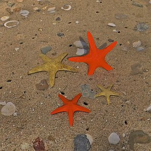 starfish1 3D model