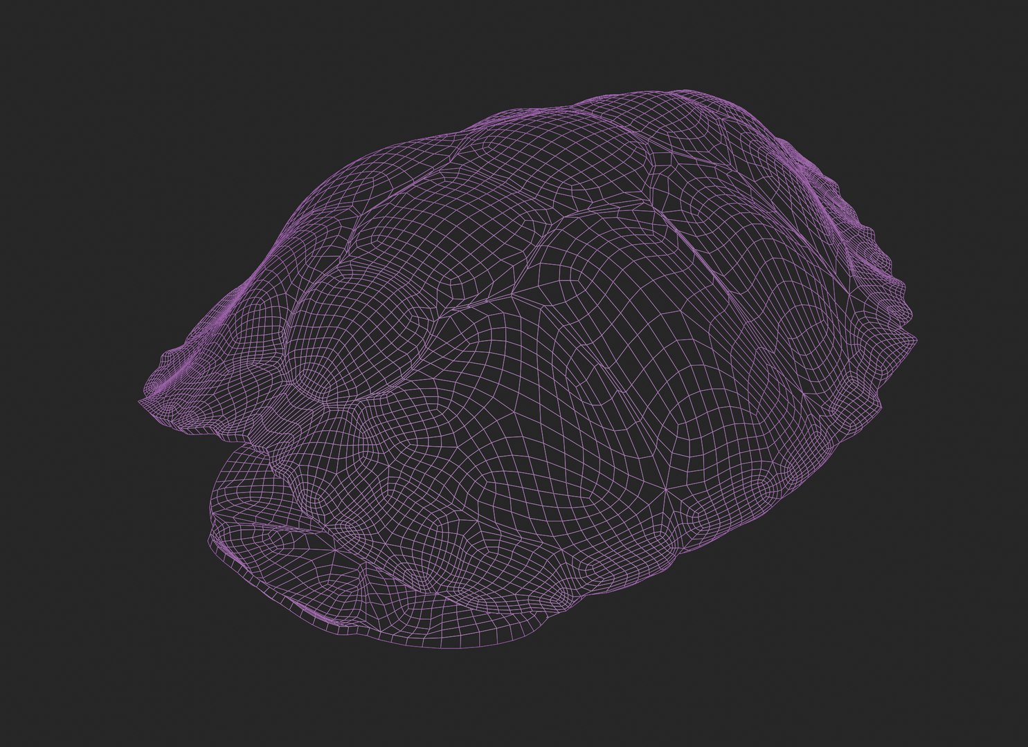 Painted Turtle shell 3D https://p.turbosquid.com/ts-thumb/ZW/gVEITf/YT/paintedturtleshell_wireframe_1/png/1757547806/1920x1080/fit_q87/2c527849596f945bde5ae2baa61f40f23fc32eae/paintedturtleshell_wireframe_1.jpg