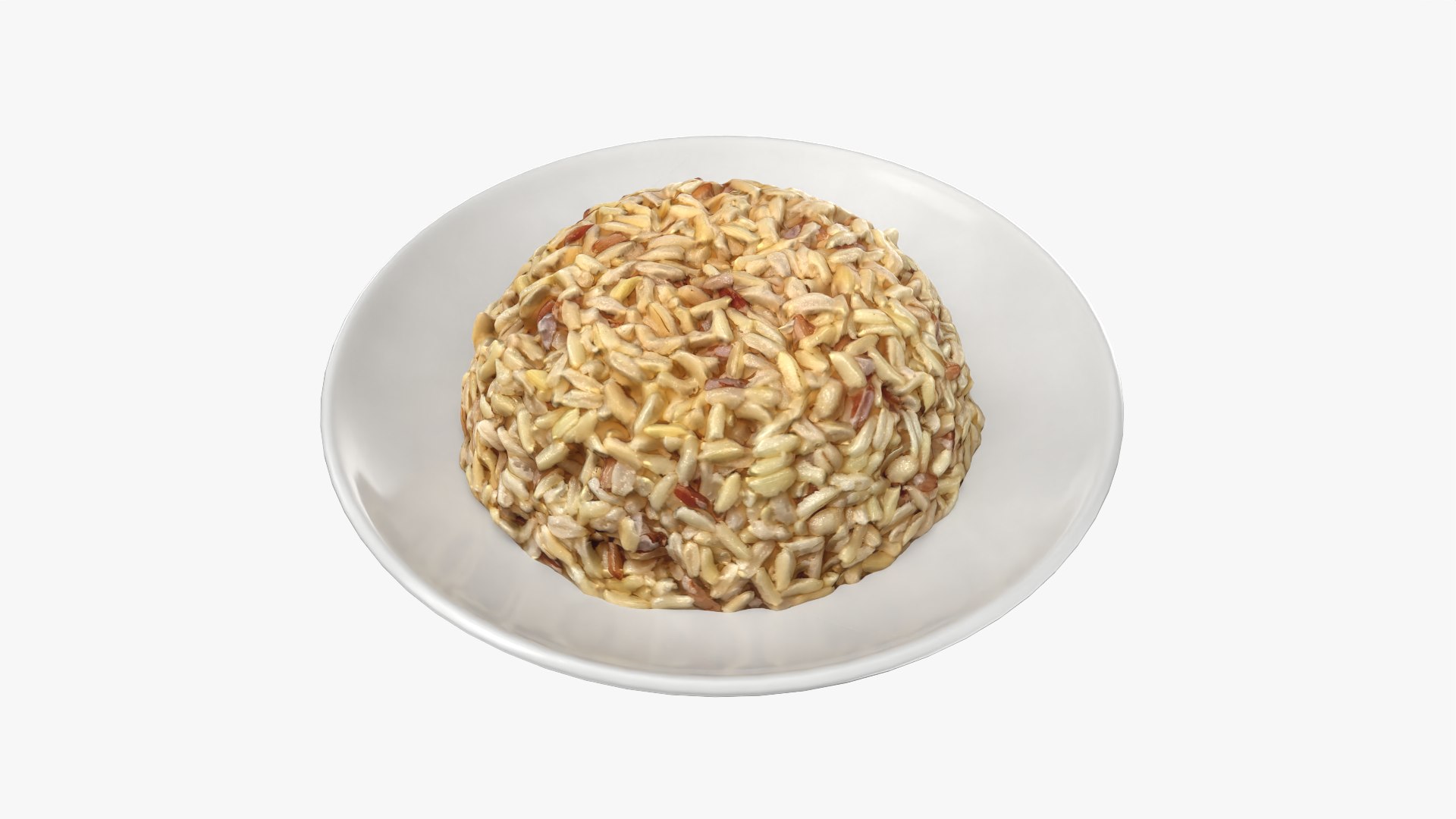 Brown Rice On A Plate model https://p.turbosquid.com/ts-thumb/ZW/ln76H1/zI/model_0003/png/1759730467/1920x1080/fit_q87/ed02c4b90cdb98741ea281260971784f4955a227/model_0003.jpg