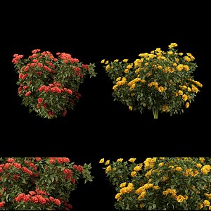 collection flowering bush vol 3 3D model