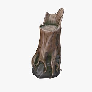 Stump on a stone