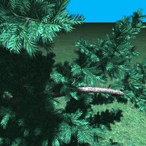pinetree03