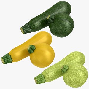 realistic zucchini 3D