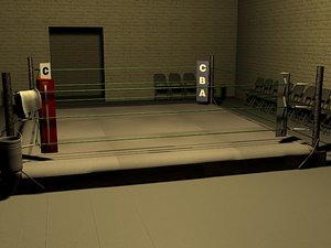 boxing gym ring 3d model
