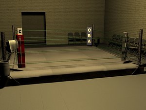 Boxing Gym