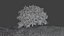 Arbre et herbe