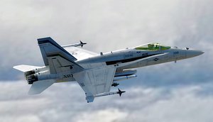 F18 Hornet with Cocpit - Changeable Decal and Text