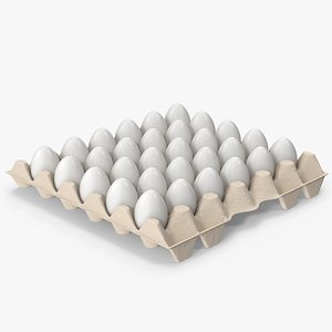 Egg Carton With Eggs 3D