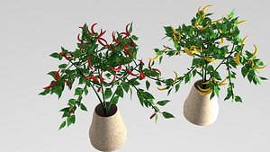 3D pepper plant