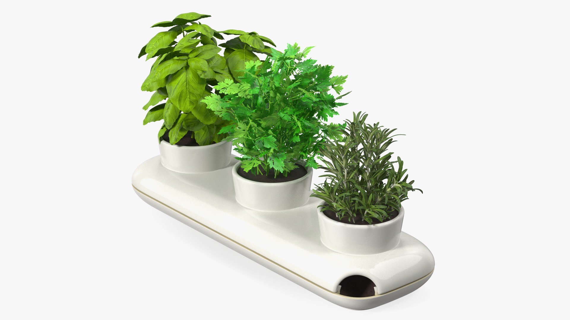 3D model Kitchen Accessories and Tableware with Food Collection 2 https://p.turbosquid.com/ts-thumb/ZX/xNtgvc/9e/triopotwithherbssagaformwhite3dmodel001/jpg/1713426338/1920x1080/fit_q87/3b8f93e90faec65e32e8c0853538600b9c8cd00d/triopotwithherbssagaformwhite3dmodel001.jpg