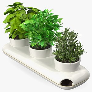 3D Trio Pot with Herbs Sagaform White model