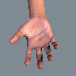 human hand modeled realistic 3d model