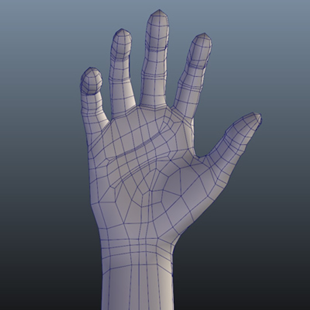 Human Hand Modeled Realistic 3d Model