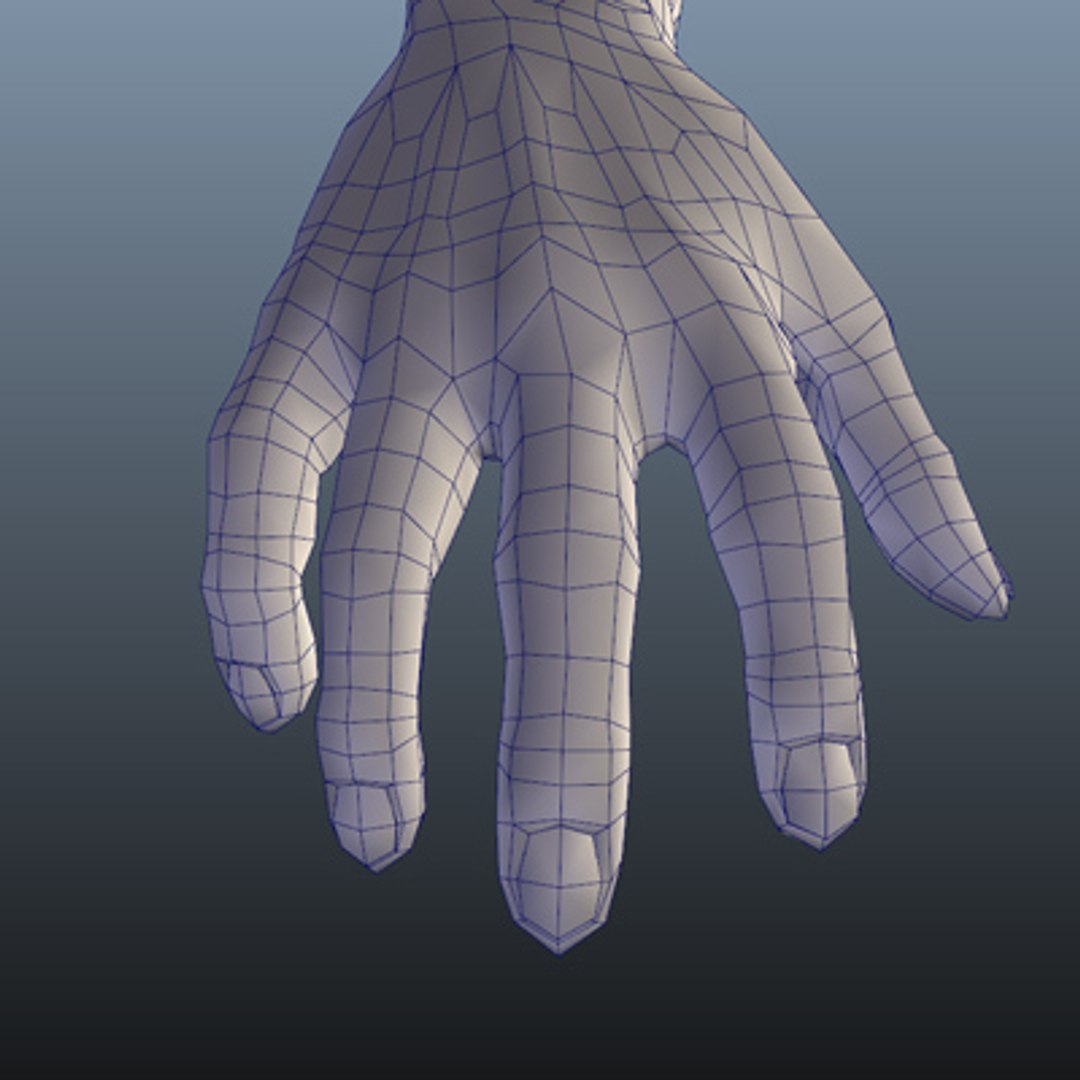 Human Hand Modeled Realistic 3d Model