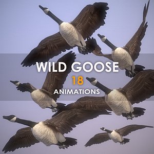 wild goose Low-poly 3D model