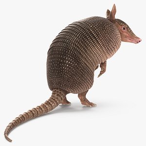 Armadillo in Hind Legs Pose Pink 3D model