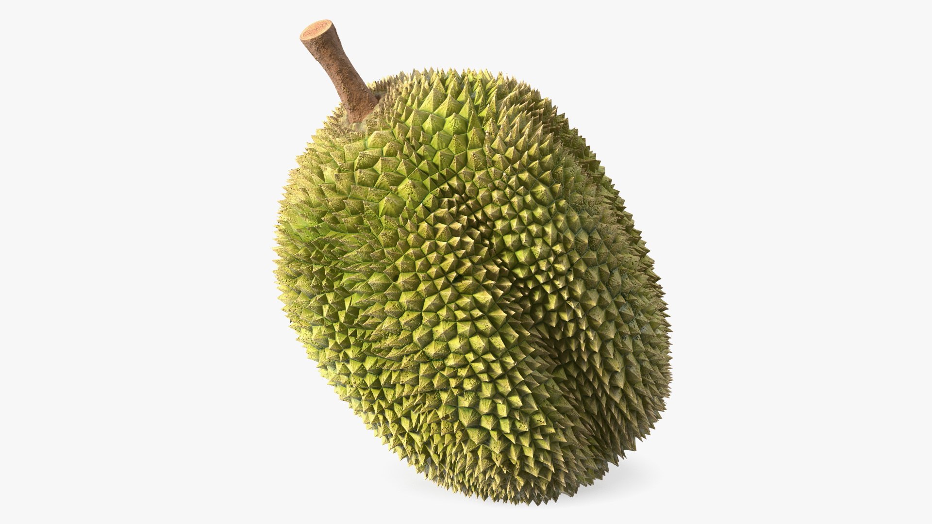 Ripe Durian Fruit 3D model preview