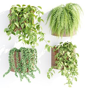 Wall hanging plants collection vol 206 3D model