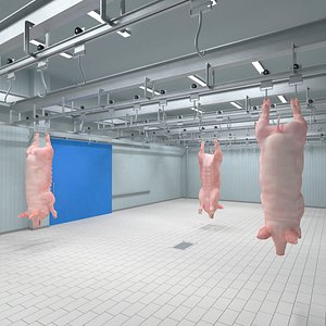 Pork Carcass Cold Storage Room with Hook Rail