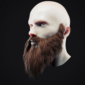 Beard Low Poly 16