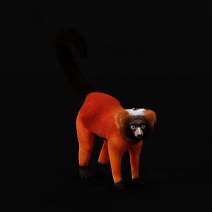Red Ruffed Lemur