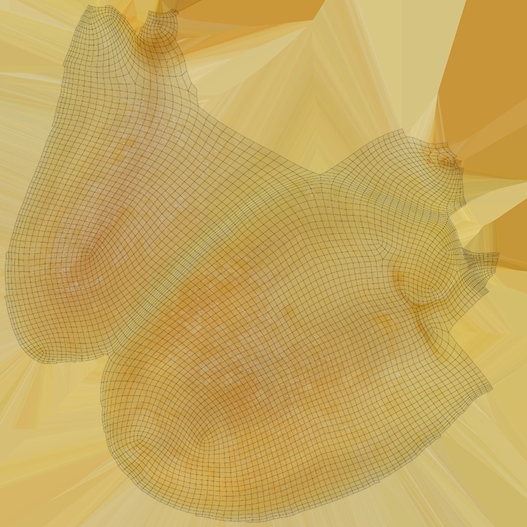 Half Peeled Peanut 02 3D https://p.turbosquid.com/ts-thumb/ZY/VwEHmp/cF/peanutpeeledhf2_c0004/png/1757047020/1920x1080/fit_q87/870e996cd059b267a2ae4bceb614fe643fd5f614/peanutpeeledhf2_c0004.jpg