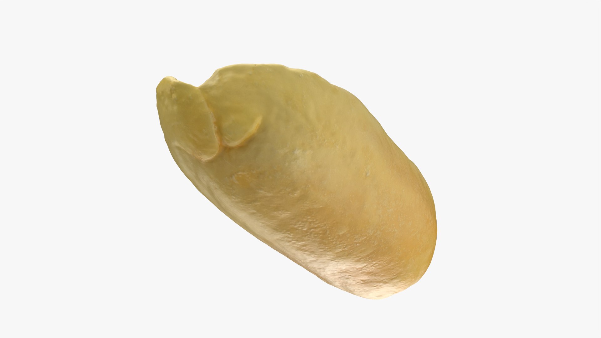 Half Peeled Peanut 02 3D https://p.turbosquid.com/ts-thumb/ZY/VwEHmp/cL/peanutpeeledhf2_0006/png/1757047010/1920x1080/fit_q87/b1de0d3a451e5b8a36304fb926b734693e57a2dc/peanutpeeledhf2_0006.jpg