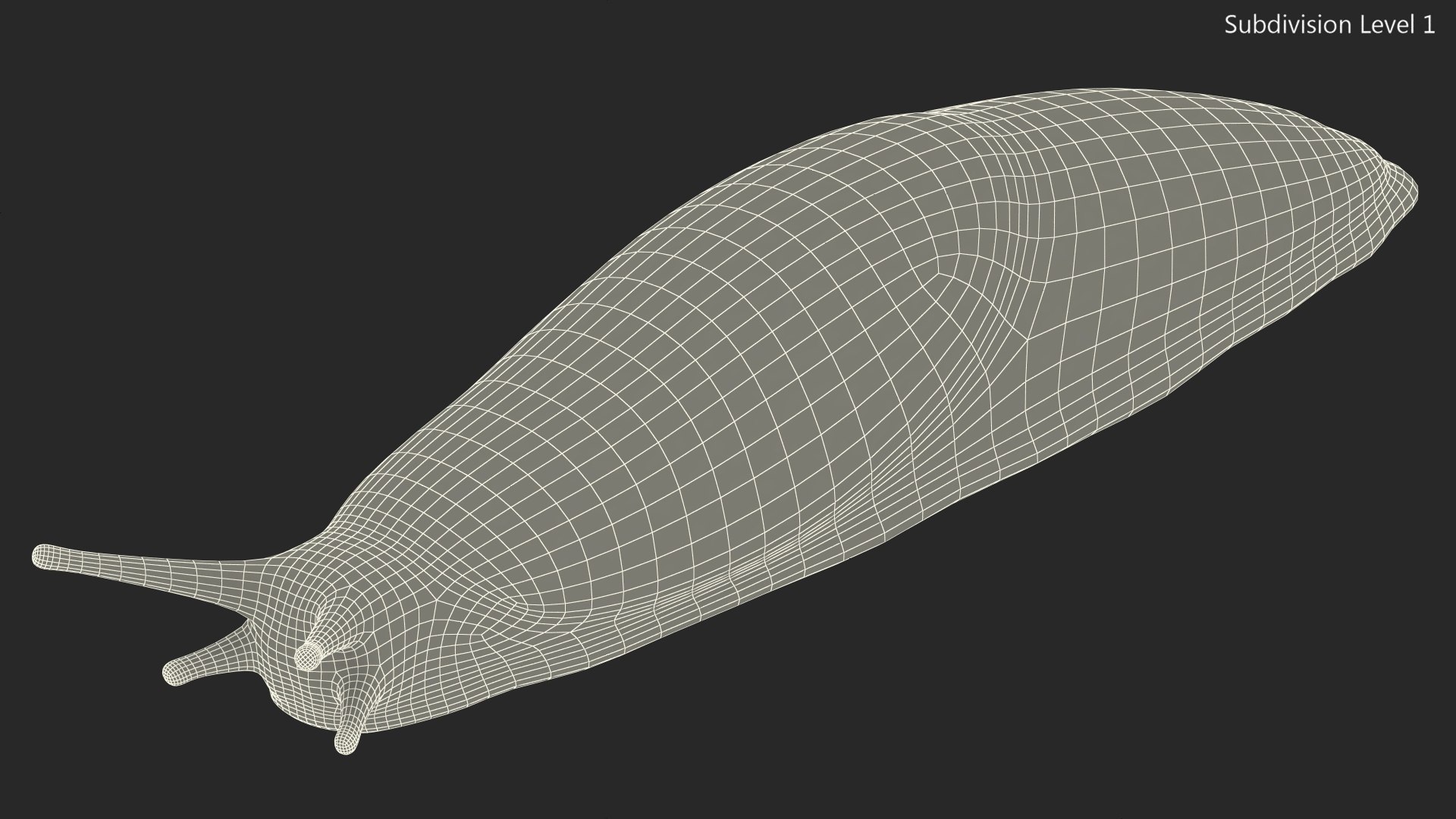 3D Slug Arion Hortensis https://p.turbosquid.com/ts-thumb/ZY/W8x74g/01/slugarionhortensis3dmodel017/jpg/1673613939/1920x1080/fit_q87/eb02f9c05a2f01e3fa345087804a0ea28080533a/slugarionhortensis3dmodel017.jpg