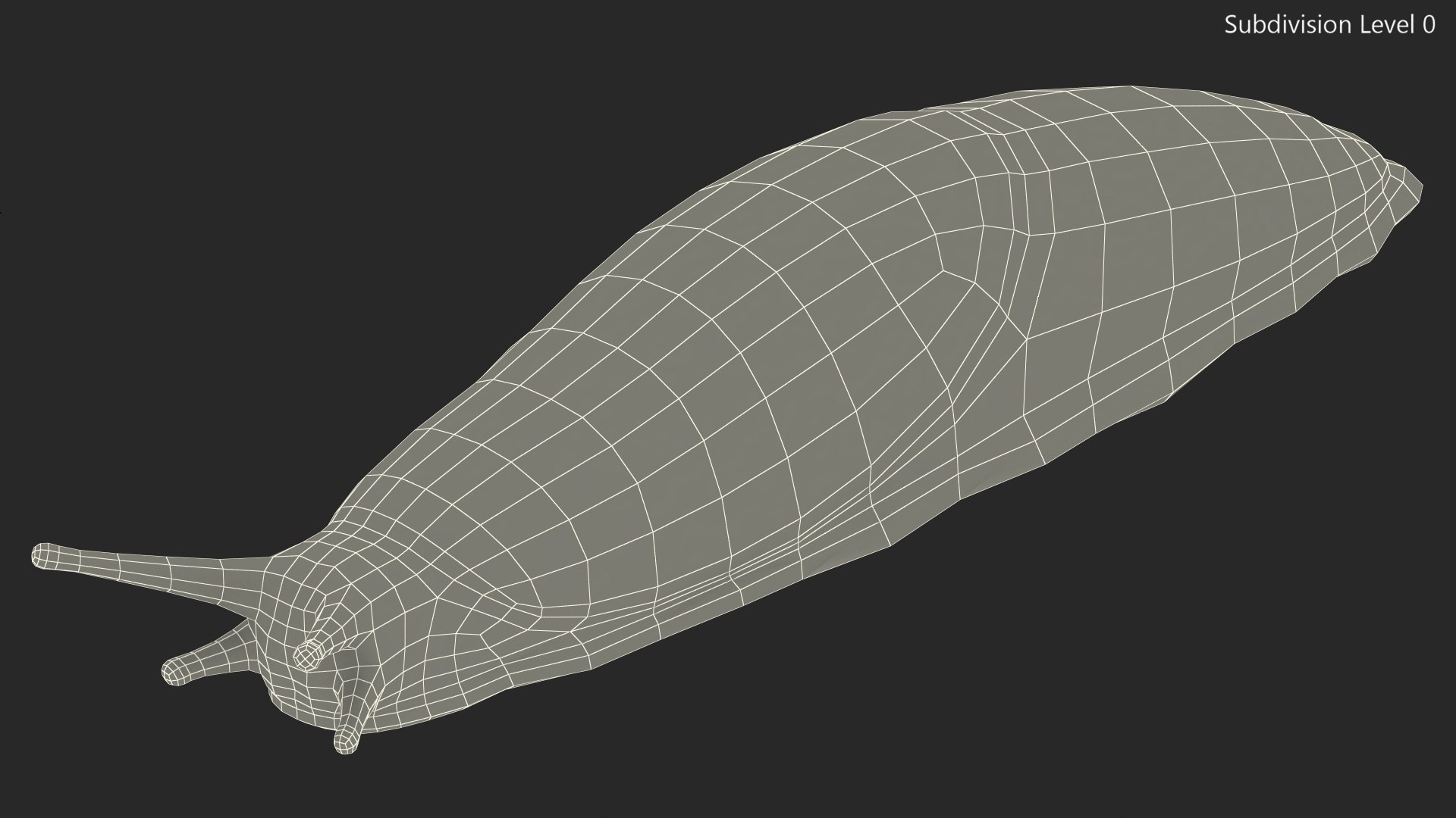 3D Slug Arion Hortensis https://p.turbosquid.com/ts-thumb/ZY/W8x74g/8M/slugarionhortensis3dmodel016/jpg/1673613936/1920x1080/fit_q87/5db2143021f3bc8112de5dcd49067597aae491a2/slugarionhortensis3dmodel016.jpg
