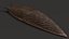 Slug Arion Hortensis