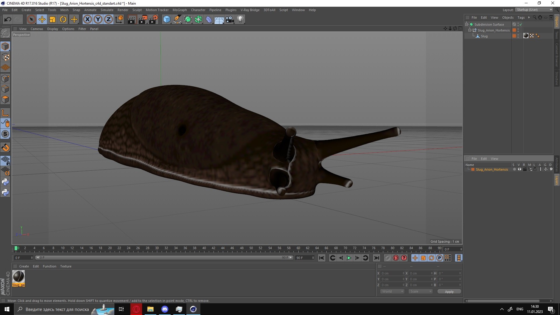 3D Slug Arion Hortensis https://p.turbosquid.com/ts-thumb/ZY/W8x74g/Xz/slugarionhortensis3dmodel034/jpg/1673613971/1920x1080/fit_q87/006d57ceb15441367ca12ace025d387533140743/slugarionhortensis3dmodel034.jpg