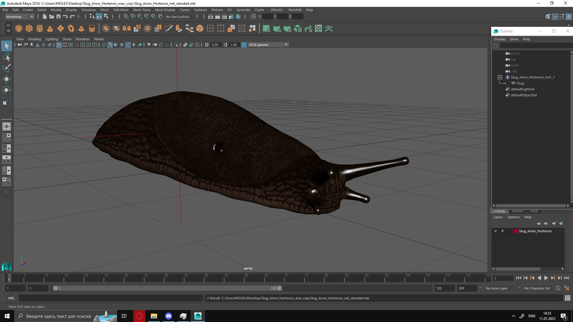 3D Slug Arion Hortensis https://p.turbosquid.com/ts-thumb/ZY/W8x74g/aW/slugarionhortensis3dmodel035/jpg/1673613974/1920x1080/fit_q87/c1369c1ae41790ef0cdfab3272fd14d97eb985dc/slugarionhortensis3dmodel035.jpg