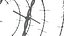 Barbed wire 01