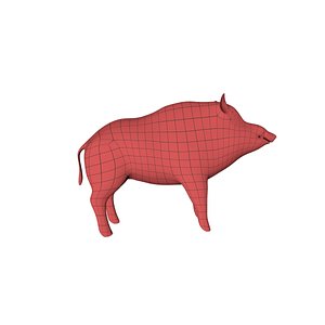 base mesh wild boar 3d obj