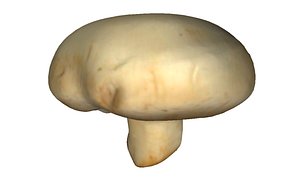 Mushroom