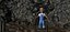 Boy Cartoon Character Rigged