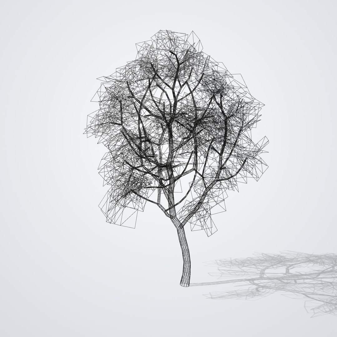 3D Magnolia grandiflora Gallissoniensis https://p.turbosquid.com/ts-thumb/ZY/pq94ix/8O/magnoliagallissoniensiscopa_06_wireframe/png/1790120872/1920x1080/fit_q87/0daf567686cabcf18d6b63556a98a7cbad0dadbe/magnoliagallissoniensiscopa_06_wireframe.jpg