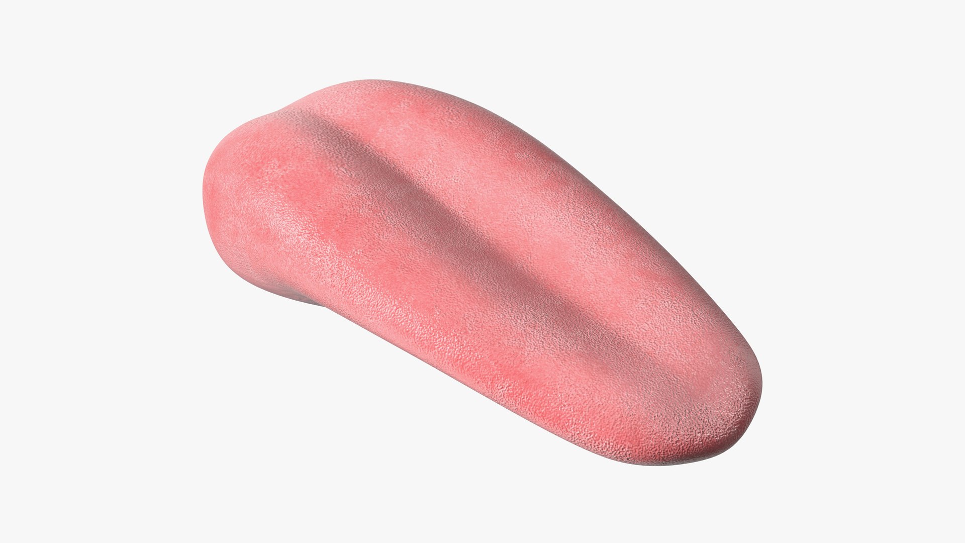 Human Tongue Rigged for Maya 3D model preview