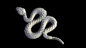 snake 3D model