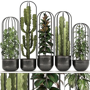 plants exotic 3D model