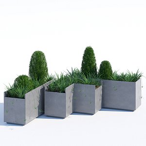 california qcp 3D model