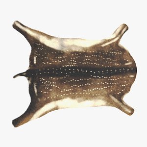 Deer Skin