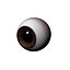 eyeball