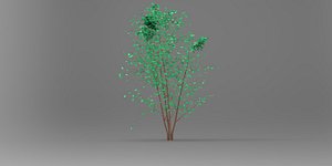 Nurbs Low Poly Tree