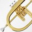 Flugelhorn