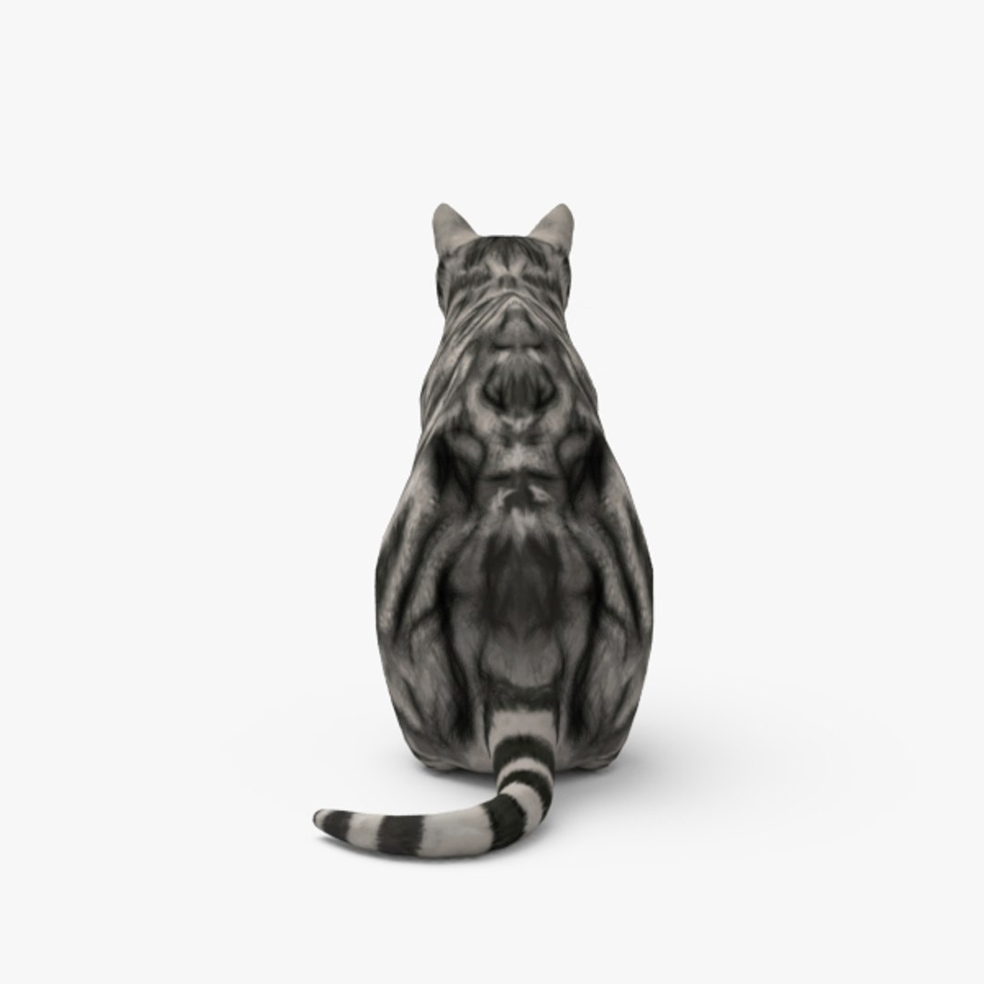 Cat 3d Model