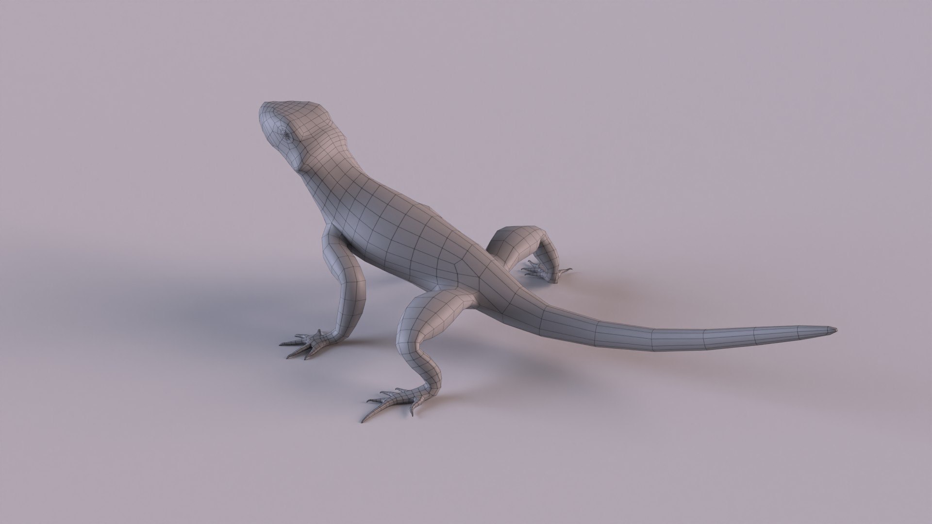 Agamas Africa Color Model - TurboSquid 1269973